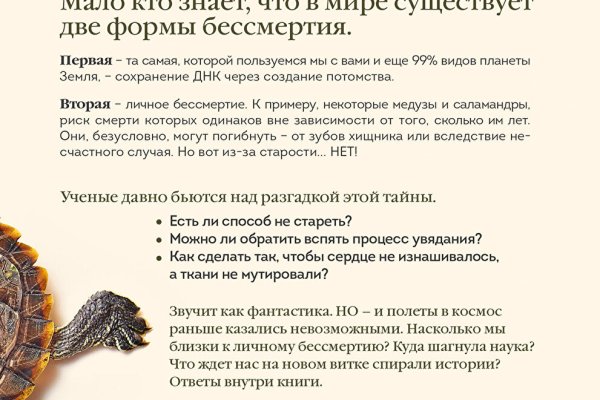 Kraken зеркало krakentor site