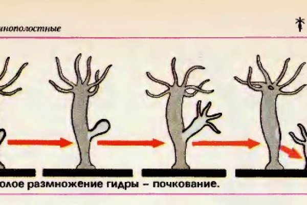 Кракен даркнет ссылка kraken link24 info