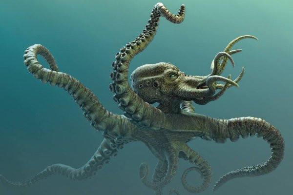 Kraken 22 аt