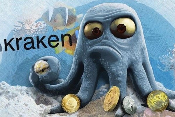 Kraken 20at net