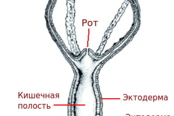 Кракен сс