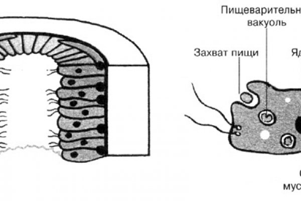 Магазин даркнета